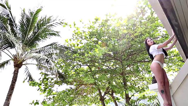 Cassie Fire - Day 2 trailer