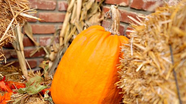 келли мэдисон фарширует свою пирожок и светит титьками на праздник
