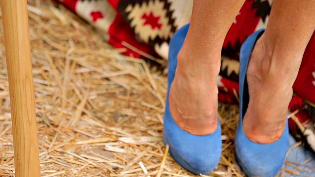 Thanksgiving Country Pie