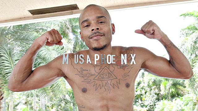 See Musa Phoenix Display