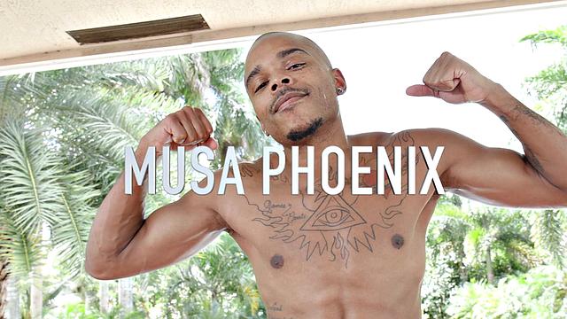 See Musa Phoenix Display