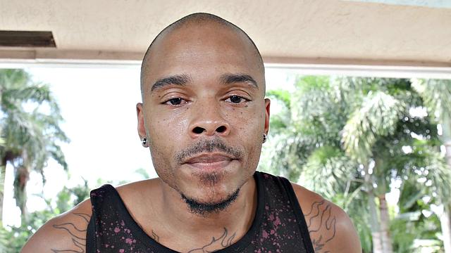 See Musa Phoenix Display