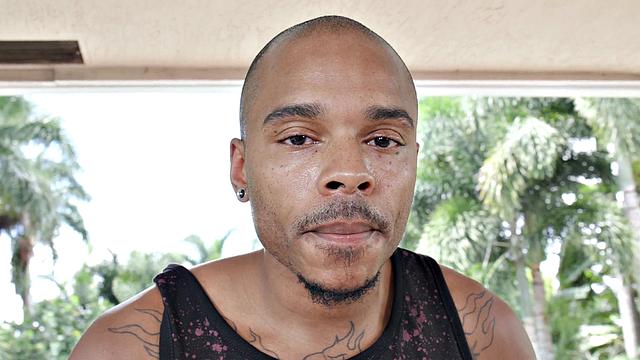 See Musa Phoenix Display