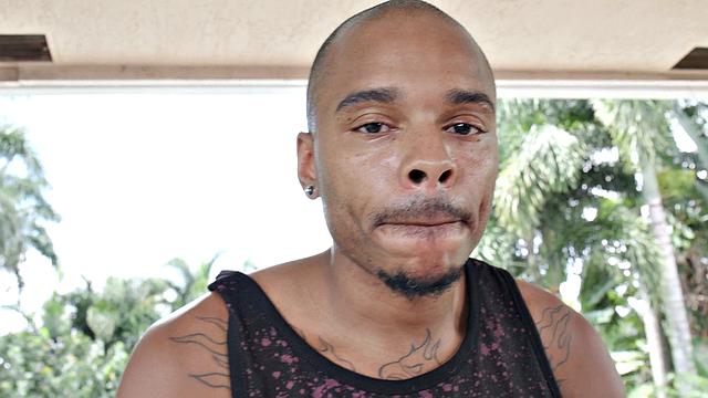 See Musa Phoenix Display