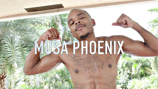 See Musa Phoenix Display