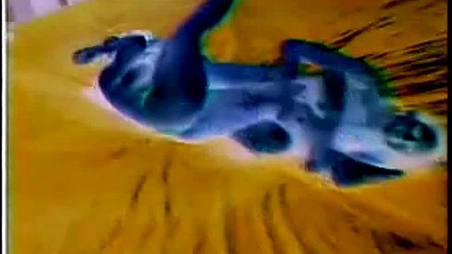 Misty Rain: Wrestling Terror