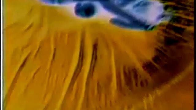 Misty Rain: Wrestling Terror