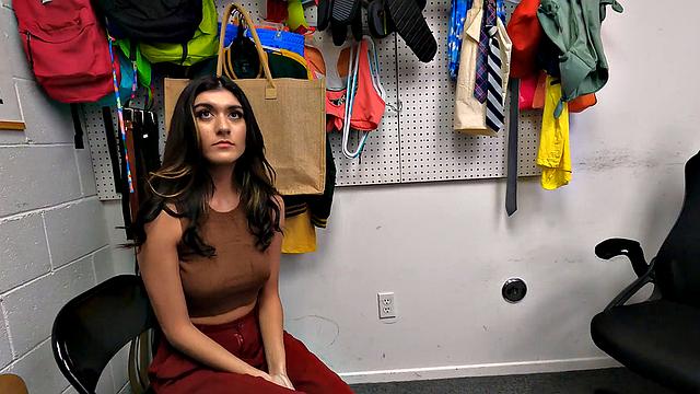 Case No. 7906282 - Concealed Flute