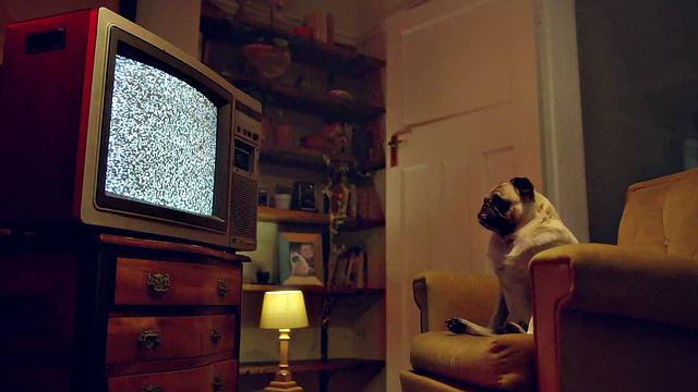 Zuzu Meets the Hungrylla