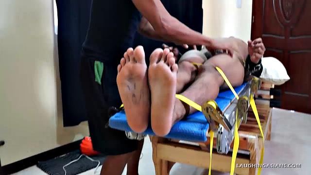 Hermis Torments Willie