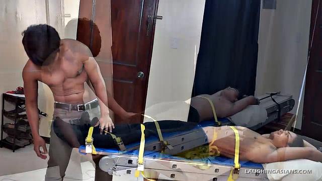 Hermis Torments Willie