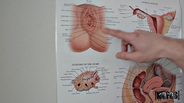 Alona's Hands-On Learner