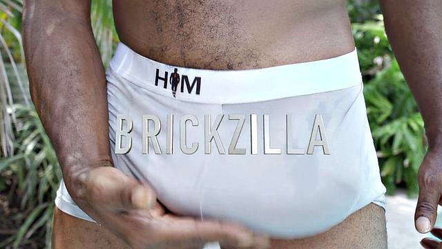 See BrickZilla Alone