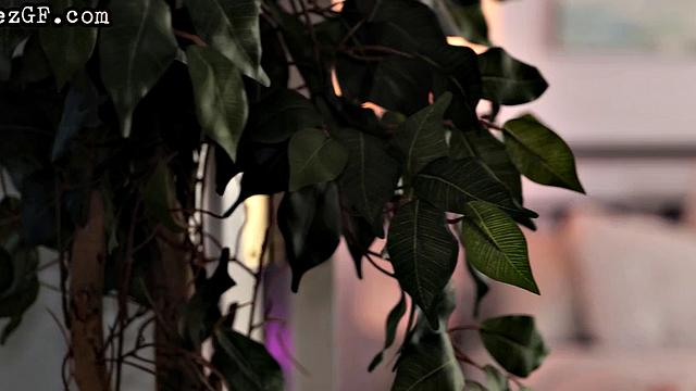 Bigbooty babe muffdiving MILF in hot affair