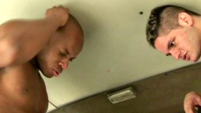 Three Men Plus A Van Equals Pleasure