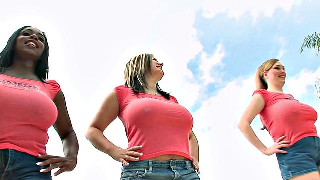 Pounding The Pledges 3