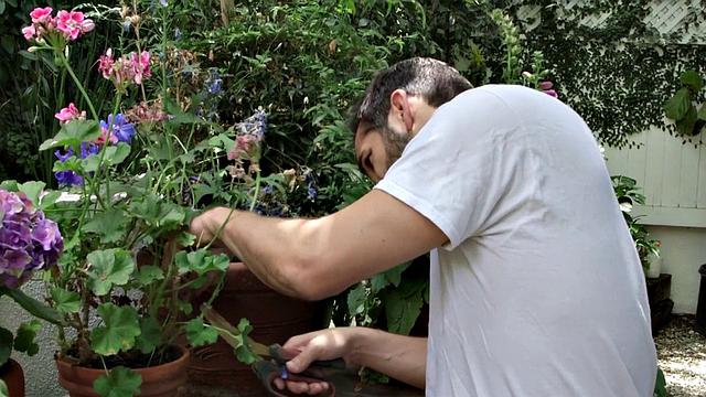 брюнетка на завтрак любит только горячий кремпай