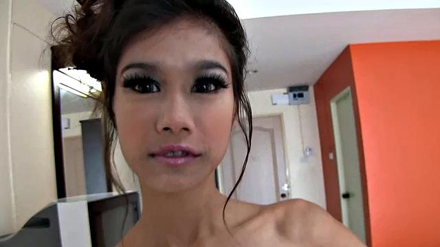Kitti 1 Asian Wild