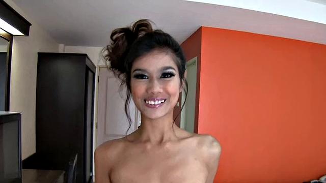 Kitti 1 Asian Wild