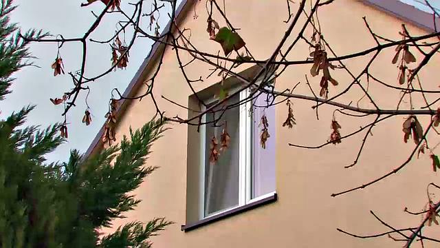 Johan Koco and Jack Bitter