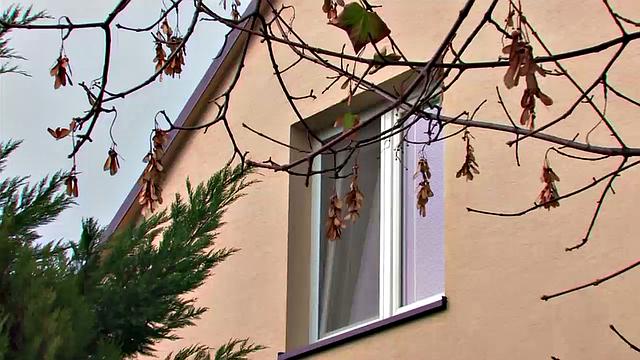 Johan Koco and Jack Bitter