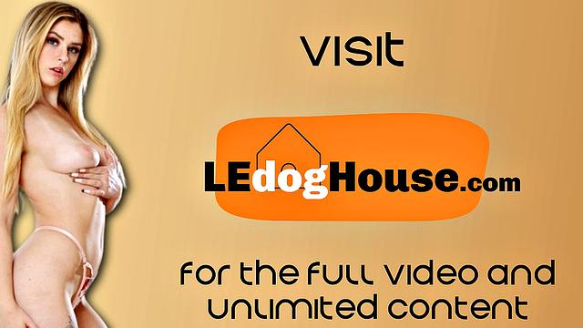 21yo anal loving babe double penetrated in 3some