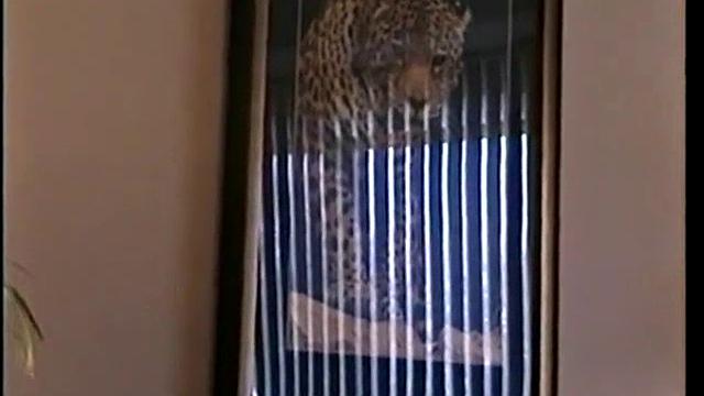 Exploring The Limits of Enrique