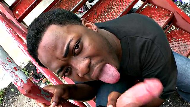 A tattooed ebony amateur deepthroat and get her ass drilled in public by a stranger