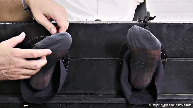 Aldo Ticked в прозрачных носках - Aldo
