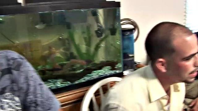 House Party Part 3: Bedroom Bang