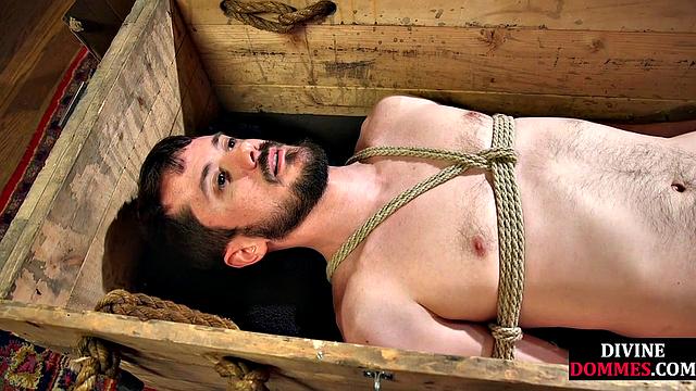 Blonde cougar babe facesitting on incel