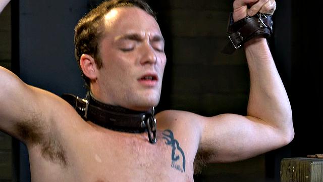 Helpless Boys - Derek Reed - Dominated