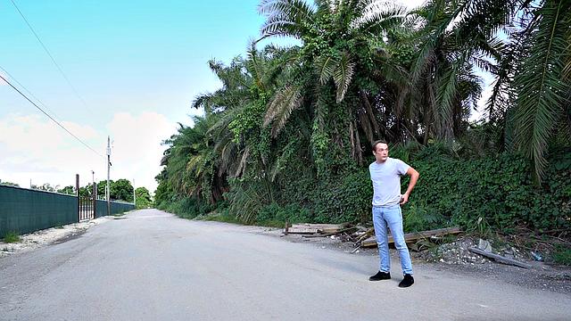 Helpless Boys - Derek Reed - Dominated