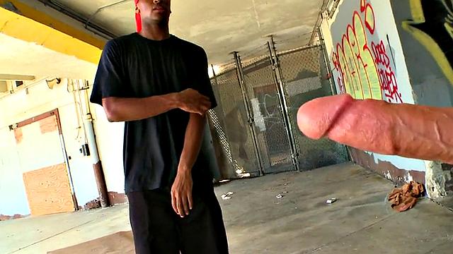 Ebony bottom picked up and drilled outdoors for cash