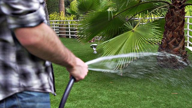 Veronica Avluv Rotten Mother Fuckers 10