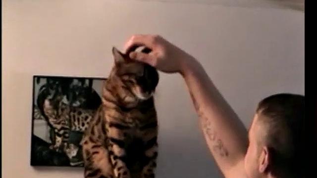 Straight Boy Marshall Off