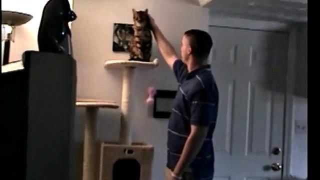 Straight Boy Marshall Off