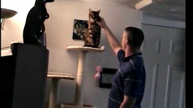 Straight Boy Marshall Off