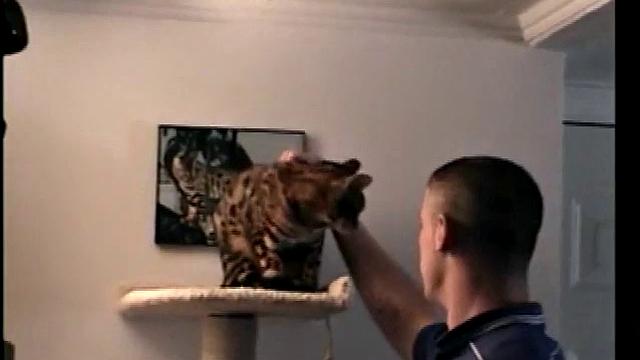 Straight Boy Marshall Off