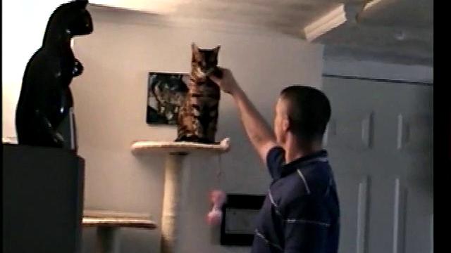 Straight Boy Marshall Off