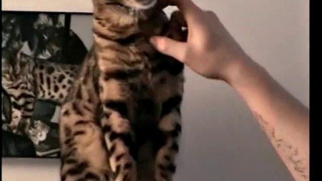 Straight Boy Marshall Off