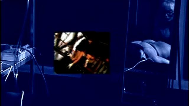 Nina Hartley's Private Sessions 9