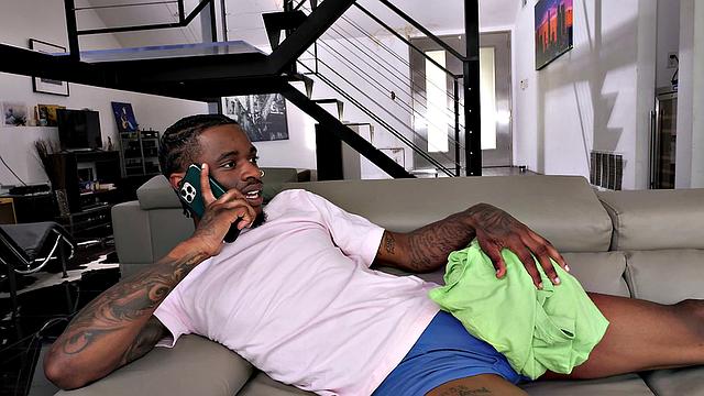 Insatiable Goes For Round 11 - Dogfart