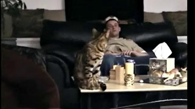 Gulping Str8 Boy Cum