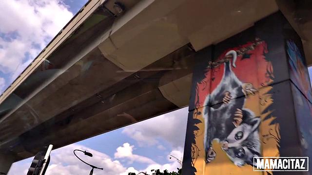 The Power of Passion