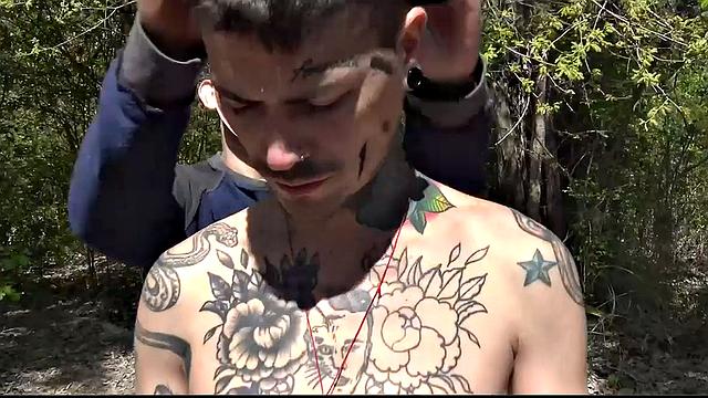 Scary Excitement - SAULabs