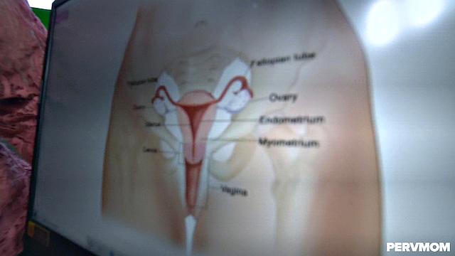 Learning with Stepmom