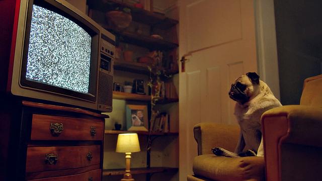 Lezgonzo! Camera Version