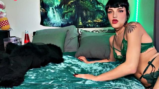 Lingerie tgirl toying tight ass and jerking hard cock