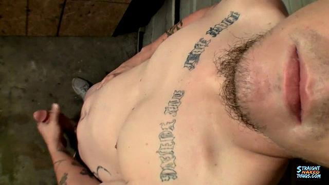 Diligent Lex Gets his Release - Lex Lane